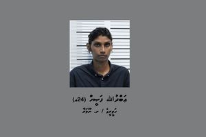 މަސްތުވާތަކެއްޗާއެކު އެއާޕޯޓުން މީހަކު ހައްޔަރުކޮށްފި