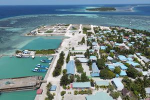 ދާންދޫ އިން މިނި ކަށިގަނޑެއް ފެނިއްޖެ