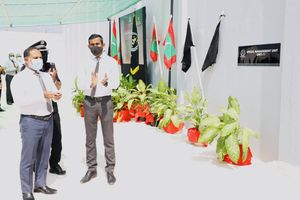 ހަރުކަށި ފިކުރުގެ ޔުނިޓަށް މުވައްޒަފުން ލިބުމުގައި ދަތިތައް