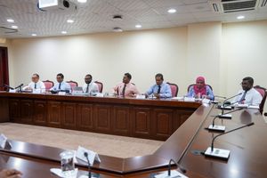 ކޮމިޓީން ނިންމީ ތިނަދޫ ކައުންސިލަކީ ސިޓީ ކައުންސިލެއް ކަމަށް