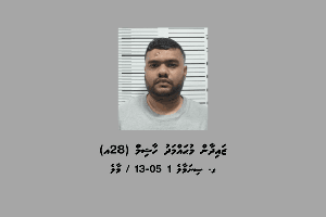 ޒައިދާން މިފަހަރު ހައްޔަރު ކުރީ "ފުޑީސް" އަށް މަކަރު ހަދައިގެން