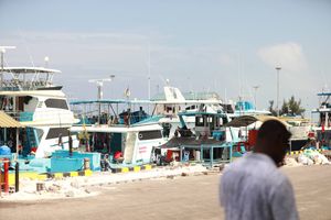 މިފްކޯއިން މިހާރު ބުނަނީ ދެވޭނީ ހަފުތާއެއްގެ ފައިސާ ކަމަށް