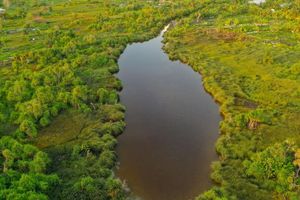 Foreigner found dead in Addu wetland