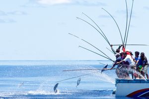 Fishing industry at lowest point in 26 years