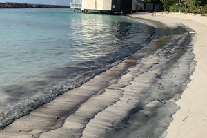 ރަސްފަންނަށް ޖަމާވި ތެޔޮތައް ސާފު ކުރެވިއްޖެ