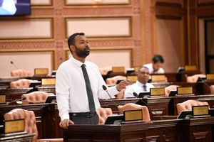 ޑޮލަރުކޮޅު އަތުލިޔަސް ހަރަދު ކުޑަނުކުރާނަމަ އަގު ތިރިނުވާނެ