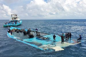 ލަންދޫ ބޯޓު ފުންކޮށްފި، ގާފަރުން ދެއްކީ ނަމޫނާ