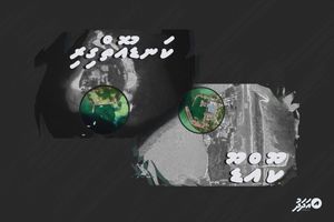 ކޫއްޑޫ އާއި ކަނޑުއޮތްގިރި ބަނދަރު ހަދާނެ ބަޔަކު ހޯދަނީ