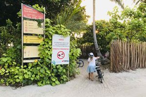 ހުލާސާކޮށް އިއްޔެ: ގެސްޓުހައުސްތަކުން ޓެކްސް ކުޑަކުރަނީ