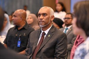 ނ. އަތޮޅަށް ރައީސް ކުރައްވަން ހަމަޖެހިފައި އޮތް ދަތުރު ފަސްކޮށްފި
