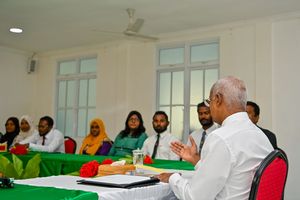 ދައުލަތުން ގެރެންޓީ ދޭ އުސޫލުގައި ކައުންސިލުތައް ހިމަނައިފި