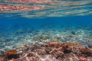 UN warns world to prepare for El Nino impact