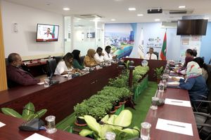 ސިޓީ ކައުންސިލްގެ ކޮމިޓީތަކަށް ބަދަލު ގެންނާތީ ހިޔާލު ތަފާތުވުން