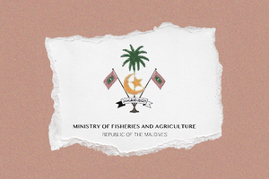 ފިޝަރީޒް މިނިސްޓްރީއަށް 287 މިލިއަނަށް ރުފިޔާ ހުރީ ނުލިބި: އޮޑިޓު