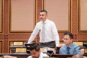 ރެފަރެންޑަމް ވޯޓުގެ ނަތީޖާއިން ސަރުކާރު ލަދު ގަންނާނެ: ނާޒިލް