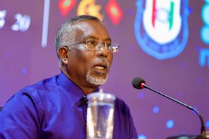މަސްތުވާތަކެތީގެ އާ ބާވަތްތަކުގެ ސަބަބުން ނަފުސާނީ ބަލިމަޑުކަމަށް