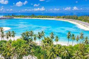 "ޓުއި ބްލޫ އޮޅުވެލި ރޮމޭންސް" ހުޅުވައިފި