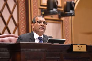 ބައި-އިލެކްޝަންތައް މަދުކުރަން ނަޝީދު ދެކޮޅު