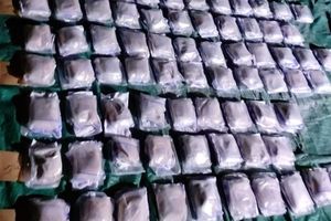 215 ކިލޯގެ މަސްތުވާތަކެއްޗާއެކު ދެ މީހުން ހައްޔަރުކޮށްފި 