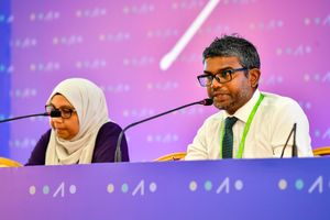 ނިކަމެތި ކުއްޖެއްގެ ބެލެނިވެރިކަމުގެ ޒިންމާގެ މިސާލެއް 