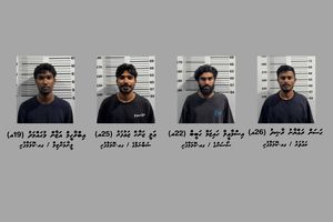 ކޮލަމާފުށްޓަށް މަސްތުވާތަކެތި ހިފައިގެން ދިޔަ ބަޔަކު ހައްޔަރަށް