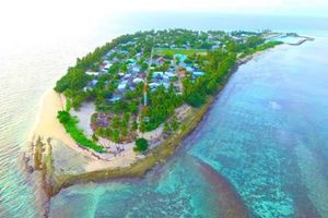 މާރާމާރީއެއްގައި އެކެއްގެ ކަރަށް ވަޅިހަރައި ޒަހަމްކޮށްލައިފި