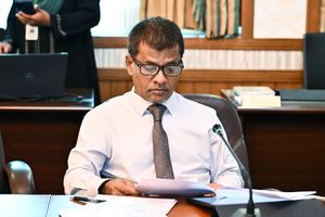 ރާއްޖެއަށް ބޭސް އެތެރެ ކުރަން ސަރުކާރުން ކުންފުންޏެއް ހަދަނީ