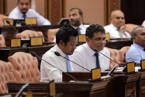 ޑިމޮކްރެޓްސް ދަފްތަރުކުރުމާއެކު ކޮމިޓީތަކަށް ބަދަލު ގެނެސްފި