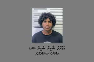 ފުލުހެއް ގައިގައި ސައިކަލުން ޖެއްސި މީހަކު ހައްޔަރުކޮށްފި