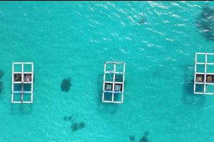 "މަހަ މަންފާ" ގެ ނަމުގައި އައު ފައިނޭންސިން ސްކީމެއް