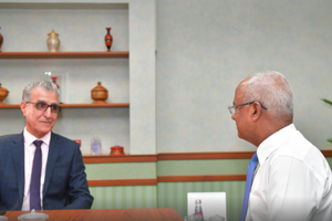 "ހައްގުތަކާ ޑިމޮކްރެސީގައި ރާއްޖެއަށް ބޮޑު ކުރިއެރުމެއް" 