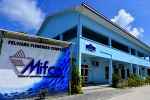 MIFCO reverses canned tuna price hike hours after implementation