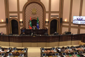 ޖަލްސާތައް މަދުކުރުމުން ވެސް ވަޑައިގެންނެވީ އެންމެ 11 މެމްބަރުން