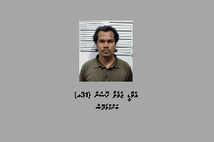 ވޭނެއްގައި ބަނގުރާފުޅިތަކެއް އުފުލަނިކޮށް ބިދޭސީއަކު ހައްޔަރުކޮށް