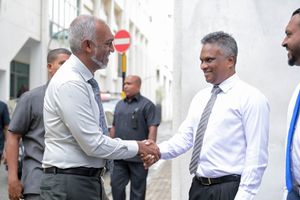 ހުލާސާކޮށް އިއްޔެ: ޕާކްތައް މަރާމާތުކުރުން 