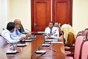 އެޗްޑީސީ އާއި އެފްޑީސީން ކުރާ މަސައްކަތްތަކުގެ ތަފްސީލު ހޯދަނީ