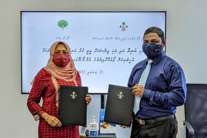 ގެވެށި އަނިޔާ ލިބޭ މީހުންނަށް ގާނޫނީ އެހީތެރިކަން ދެނީ 
