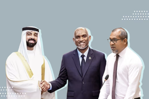 ހަބަރާއި ފޮޓޯ ޑިލީޓުކުރިޔަސް އެއީ ފޭކް ޕްރިންސެއް ނޫން: ހަލީލު