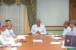 ޓާސްކްފޯސް އުފެއްދީ ޑިޒާސްޓާ މެނޭޖްމެންޓު ކައުންސިލެއް އޮއްވައި
