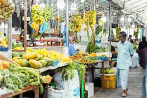 ކިއުކަމްބާ ކިލޯއެއް 70ރ. އަށް، ކަނޑޫދޫ މިރުހުގެ އަގު އަދިވެސް އުފުލެނީ