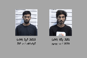 260 ގްރާމްގެ މަސްތުވާތަކެއްޗާއެކު ދެ މީހުން ހައްޔަރުކޮށްފި
