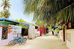 ކައުންސިލަރަކަށް ހަމަލާދިން މީހަކު މާފުށިން ހައްޔަރުކޮށްފި 