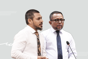 ގޯއްޗާއި ފްލެޓުވެރިންގެ ހައްގުގައި ހުށަހެޅި ގަރާރު ބޭރުކޮށްލައިފި