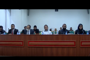 ޔާމީންގެ ހެކިން ދެއްކި ވާހަކަ ހަމަނުޖެހޭ: ދައުލަތް