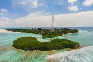 ތުލުސްދޫ މޫދަށް އެރި އުޅުނު ފަތުރުވެރިޔަކު މަރުވެއްޖެ