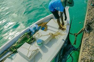 ހަ ގަޑިއިރުގެ މަސައްކަތުން އަބްދޯބެ ތިލަކުރީ 120 ކިލޯގެ ހިބަރެއް