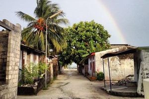 ހަށިވިއްކާ ކަމުގެ ތުހުމަތުވާ ނެޓްވޯކެއް އަތުލައިގެންފި 