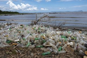 Plastic litter in oceans overestimated: Study