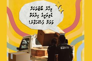 ބާޒާރު ގަވިންއާއެކު ރަށްރަށަށް ޑެލިވަރީކުރުމުގެ ހިދުމަތް ފަސޭހަވެއްޖެ