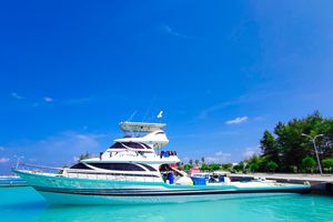 މަޑަވެލީ ދޯންޏަކުން 57 ޓަނުގެ މަސް ބާނައިގެން އާ ރެކޯޑެއް